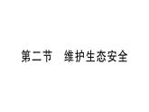 初中生物新人教版八年級上冊第五單元第二章第二節(jié) 維護(hù)生態(tài)安全作業(yè)課件（含答案）（2025秋）