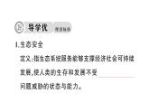 初中生物新人教版八年級上冊第五單元第二章第二節(jié) 維護(hù)生態(tài)安全作業(yè)課件（含答案）（2025秋）