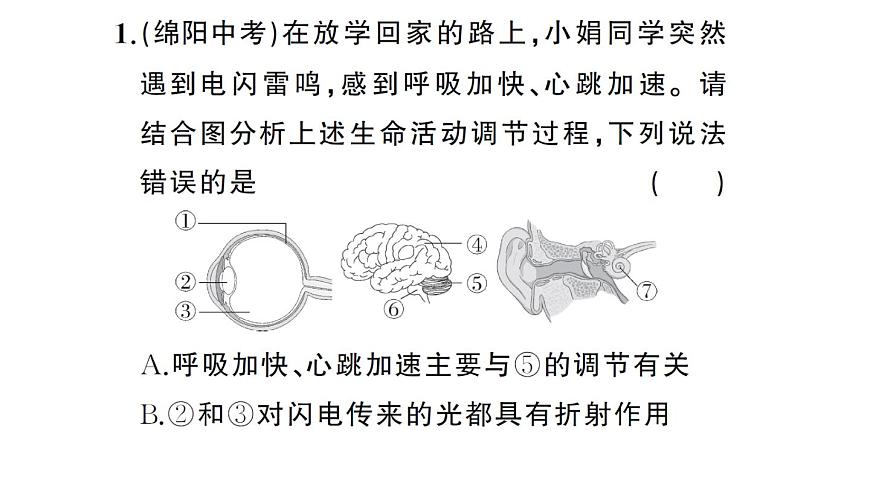 初中生物新人教版八年级上册期末识图理解题作业课件（含答案）（2025秋）第2页