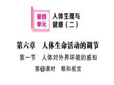 初中生物新人教版八年級上冊第四單元第六章第一節(jié)第一課時 眼和視覺作業(yè)課件（含答案）（2025秋）