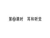 初中生物新人教版八年級上冊第四單元第六章第一節(jié)第二課時 耳和聽覺作業(yè)課件（含答案）（2025秋）