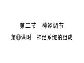 初中生物新人教版八年級上冊第四單元第六章第二節(jié)第一課時 神經(jīng)系統(tǒng)的組成作業(yè)課件（含答案）（2025秋）