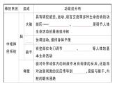 初中生物新人教版八年級上冊第四單元第六章第二節(jié)第一課時 神經(jīng)系統(tǒng)的組成作業(yè)課件（含答案）（2025秋）