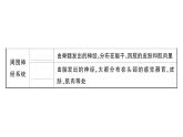 初中生物新人教版八年級上冊第四單元第六章第二節(jié)第一課時 神經(jīng)系統(tǒng)的組成作業(yè)課件（含答案）（2025秋）