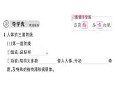 初中生物新人教版八年級(jí)上冊(cè)第四單元第七章第二節(jié)第一課時(shí) 人體的三道防線(xiàn)作業(yè)課件（含答案）（2025秋）