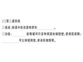 初中生物新人教版八年級(jí)上冊(cè)第四單元第七章第二節(jié)第一課時(shí) 人體的三道防線(xiàn)作業(yè)課件（含答案）（2025秋）