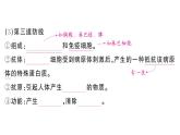 初中生物新人教版八年級(jí)上冊(cè)第四單元第七章第二節(jié)第一課時(shí) 人體的三道防線(xiàn)作業(yè)課件（含答案）（2025秋）