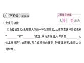 初中生物新人教版八年級(jí)上冊(cè)第四單元第七章第二節(jié)第二課時(shí) 免疫的功能、免疫規(guī)劃作業(yè)課件（含答案）（2025秋）