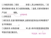初中生物新人教版八年級(jí)上冊(cè)第四單元第七章第二節(jié)第二課時(shí) 免疫的功能、免疫規(guī)劃作業(yè)課件（含答案）（2025秋）