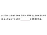 初中生物新人教版八年級(jí)上冊(cè)第四單元第七章第二節(jié)第二課時(shí) 免疫的功能、免疫規(guī)劃作業(yè)課件（含答案）（2025秋）