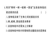 初中生物新人教版八年級上冊第五單元第二章微專題 食物鏈和食物網(wǎng)作業(yè)課件（含答案）（2025秋）