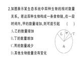 初中生物新人教版八年級上冊第五單元第二章微專題 食物鏈和食物網(wǎng)作業(yè)課件（含答案）（2025秋）