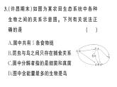 初中生物新人教版八年級上冊第五單元第二章微專題 食物鏈和食物網(wǎng)作業(yè)課件（含答案）（2025秋）