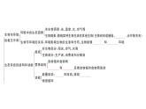 初中生物新人教版八年級上冊第五單元聚焦課標·章末沖刺（第五單元第一、二章）作業(yè)課件（含答案）（2025秋）