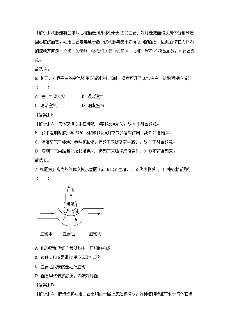 北京市顺义区2024--2025学年七年级下学期期末生物试卷（解析版）第3页
