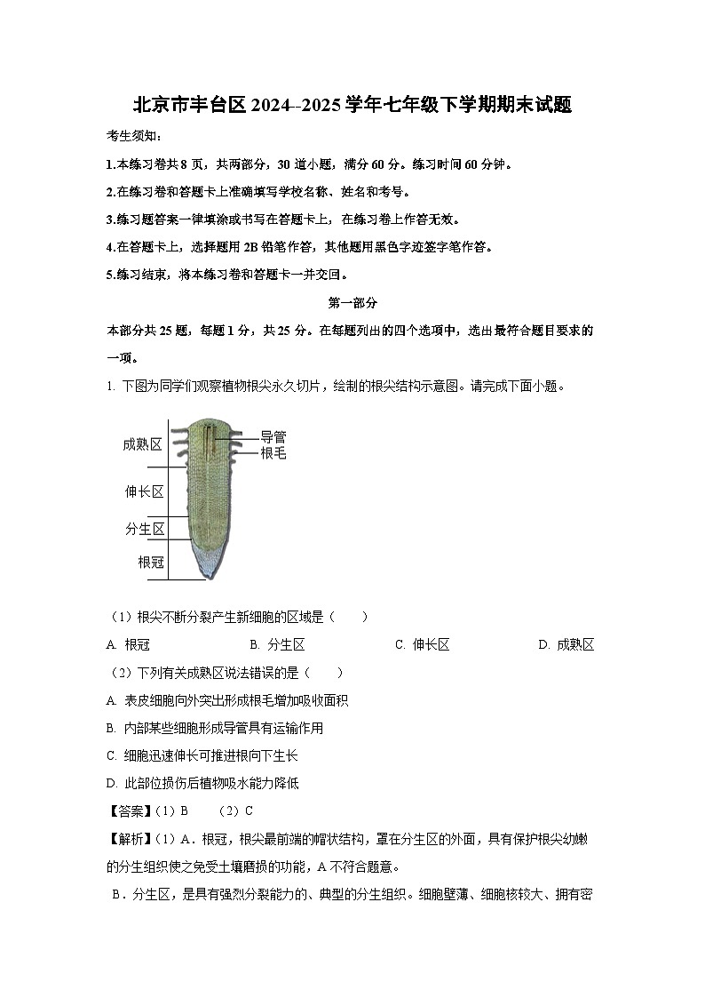北京市丰台区2024--2025学年七年级下学期期末生物试卷（解析版）第1页