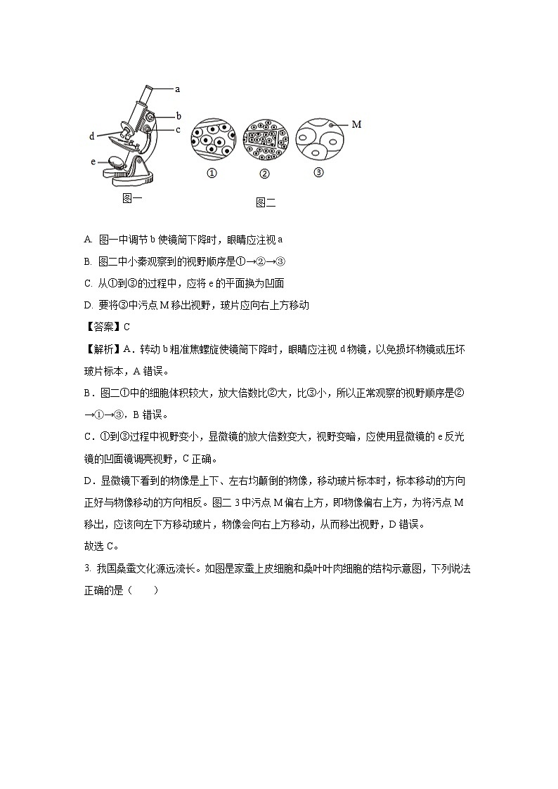 2025年山东省临沂市罗庄区中考模拟（二）生物试卷（解析版）第2页