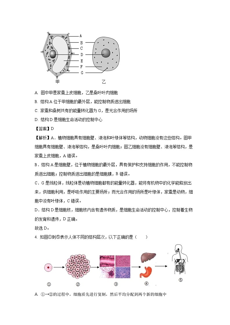 2025年山东省临沂市罗庄区中考模拟（二）生物试卷（解析版）第3页