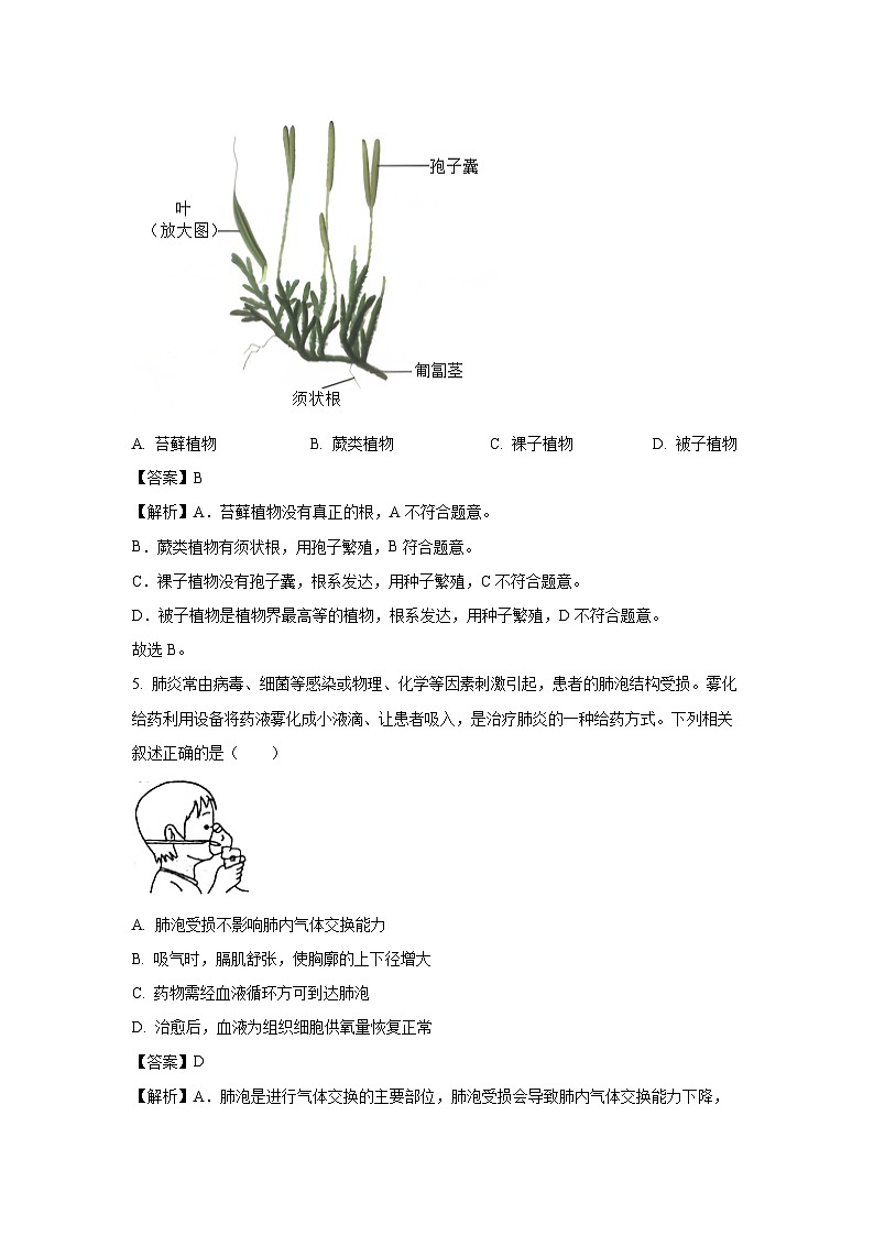 2025年山东省聊城临清市中考三模生物试卷（解析版）第3页