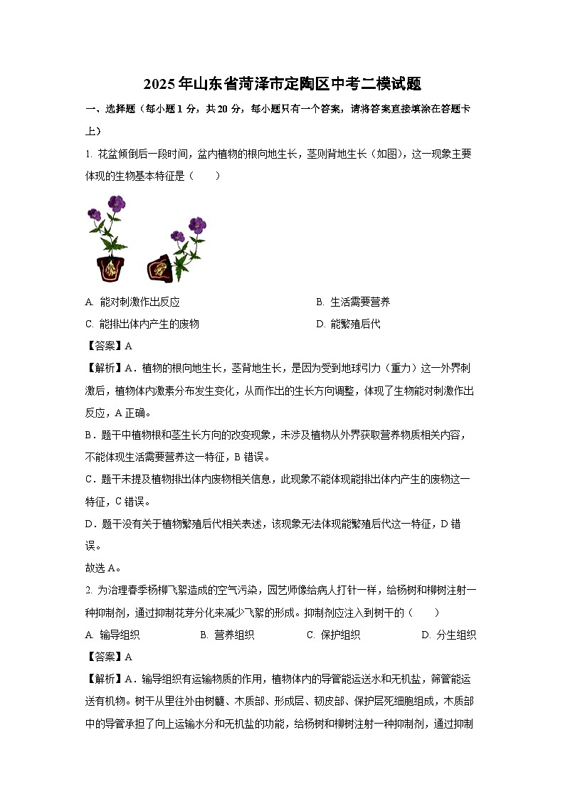 2025年山东省菏泽市定陶区中考二模生物试卷（解析版）第1页