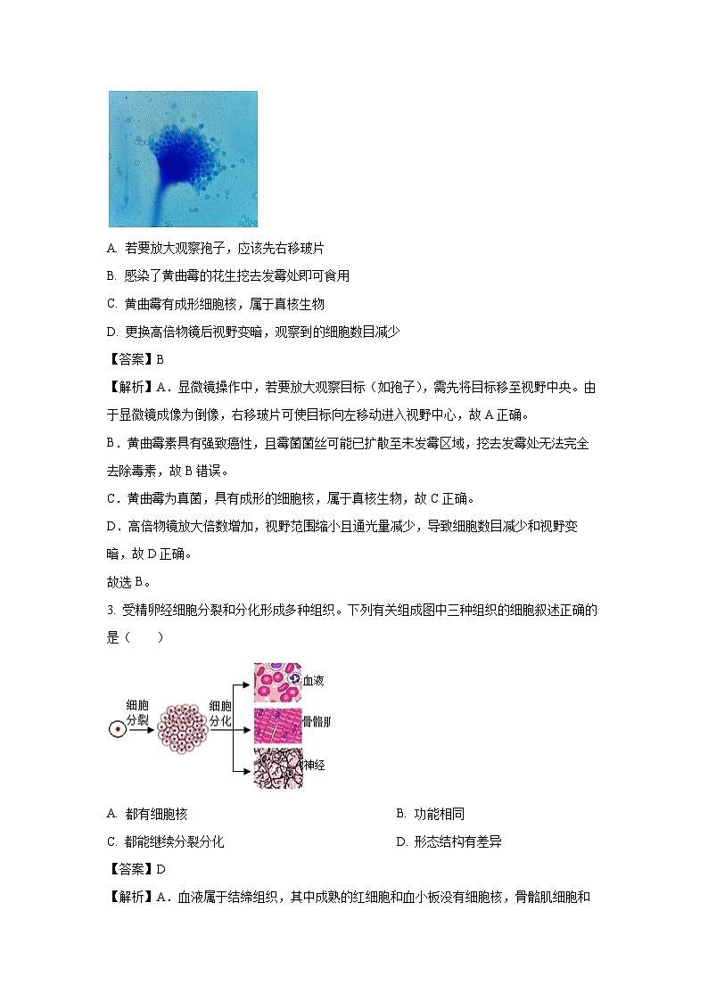2025年湖南省湘潭市中考三模生物试卷（解析版）第2页