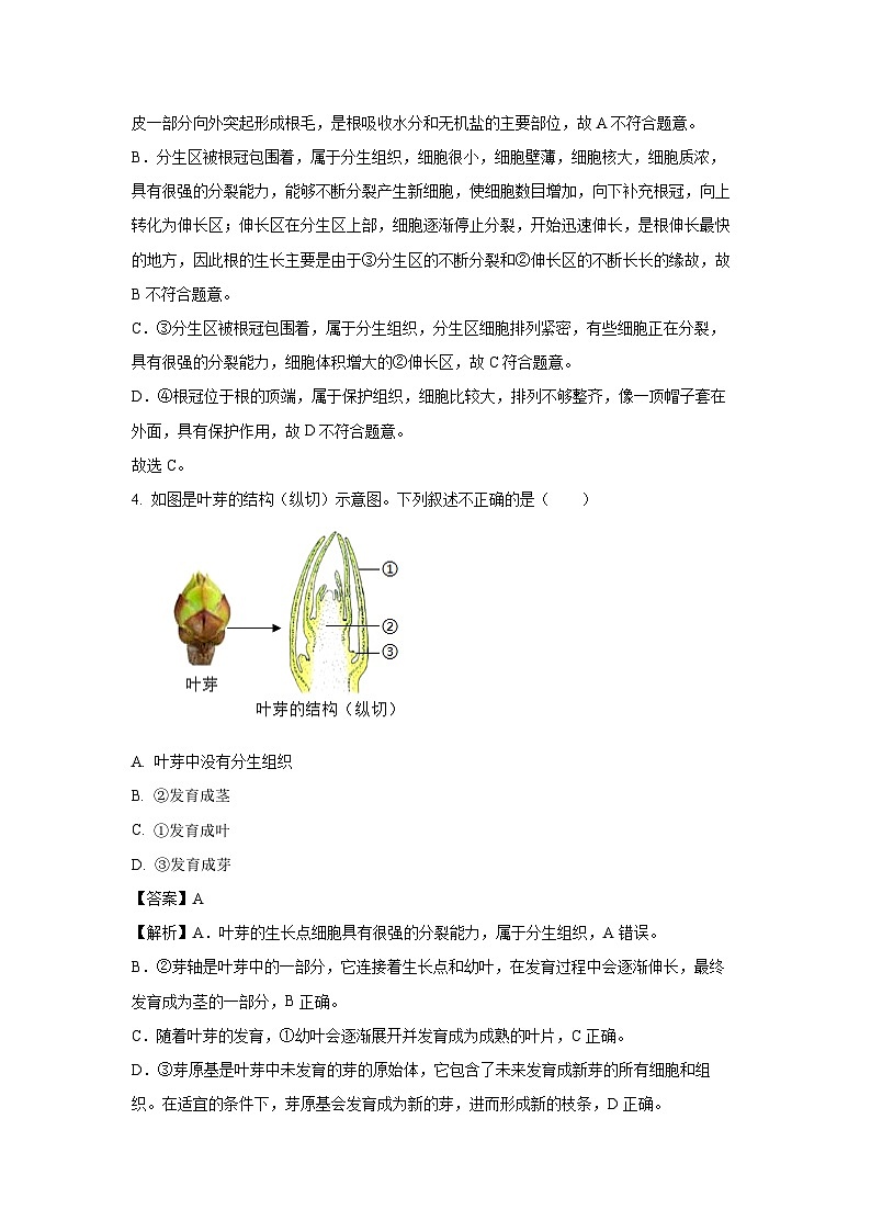 云南省曲靖市2024--2025学年七年级下学期期末生物试卷（解析版）第3页