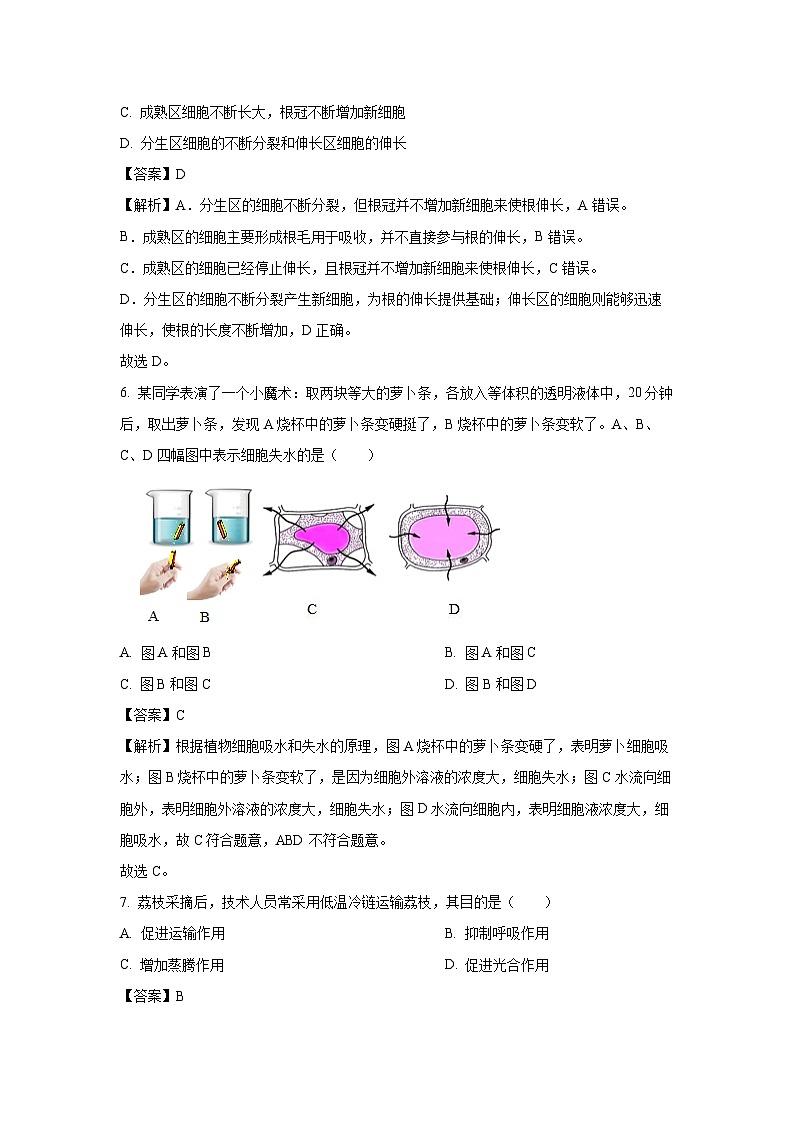 辽宁省沈阳沈河区2024-2025学年七年级下学期期末生物试卷（解析版）第3页