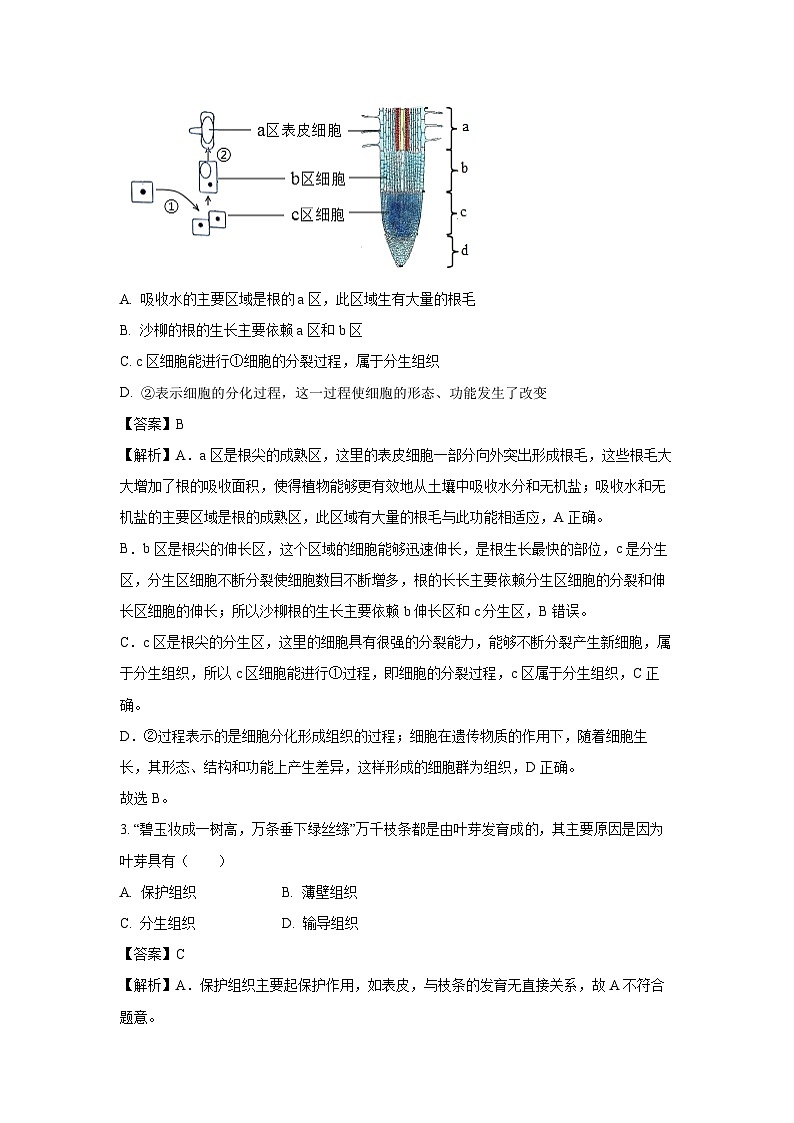 黑龙江省齐齐哈尔市讷河市2024-2025学年七年级下学期期末生物试卷（解析版）第2页