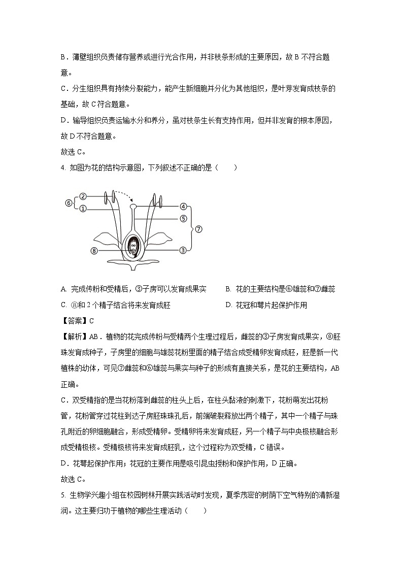黑龙江省齐齐哈尔市讷河市2024-2025学年七年级下学期期末生物试卷（解析版）第3页