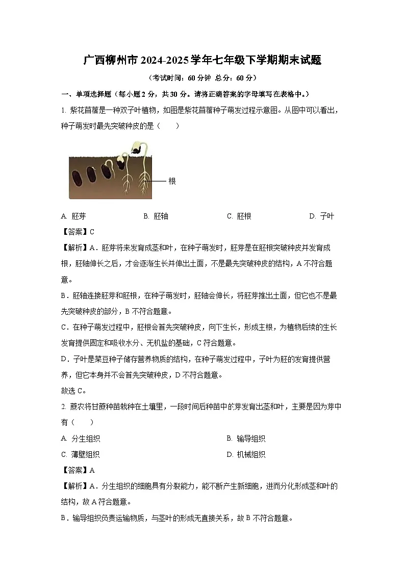 广西柳州市2024-2025学年七年级下学期期末生物试卷（解析版）第1页