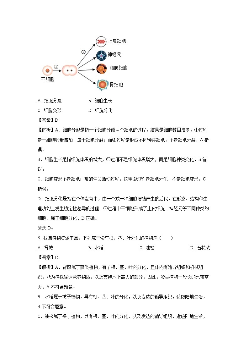 广东省茂名市2024-2025学年七年级下学期期末生物试卷（解析版）第2页