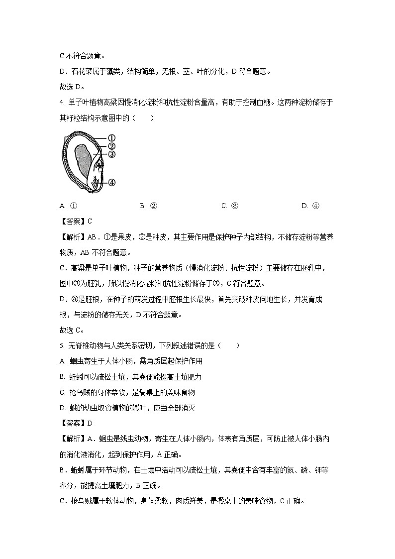 广东省茂名市2024-2025学年七年级下学期期末生物试卷（解析版）第3页