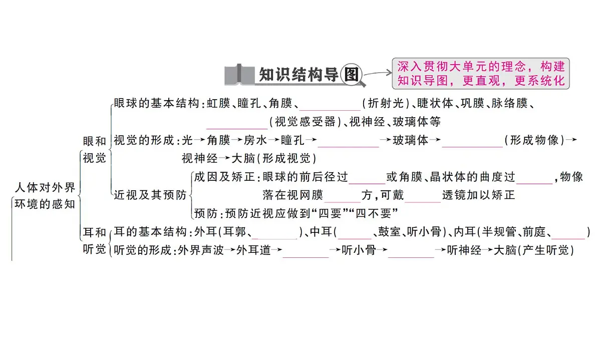 初中生物新人教版八年级上册第四单元第六章聚焦课标·章末冲刺作业课件（含答案）（2025秋）第2页