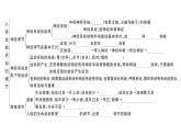 初中生物新人教版八年級上冊第四單元第六章聚焦課標·章末沖刺作業(yè)課件（含答案）（2025秋）