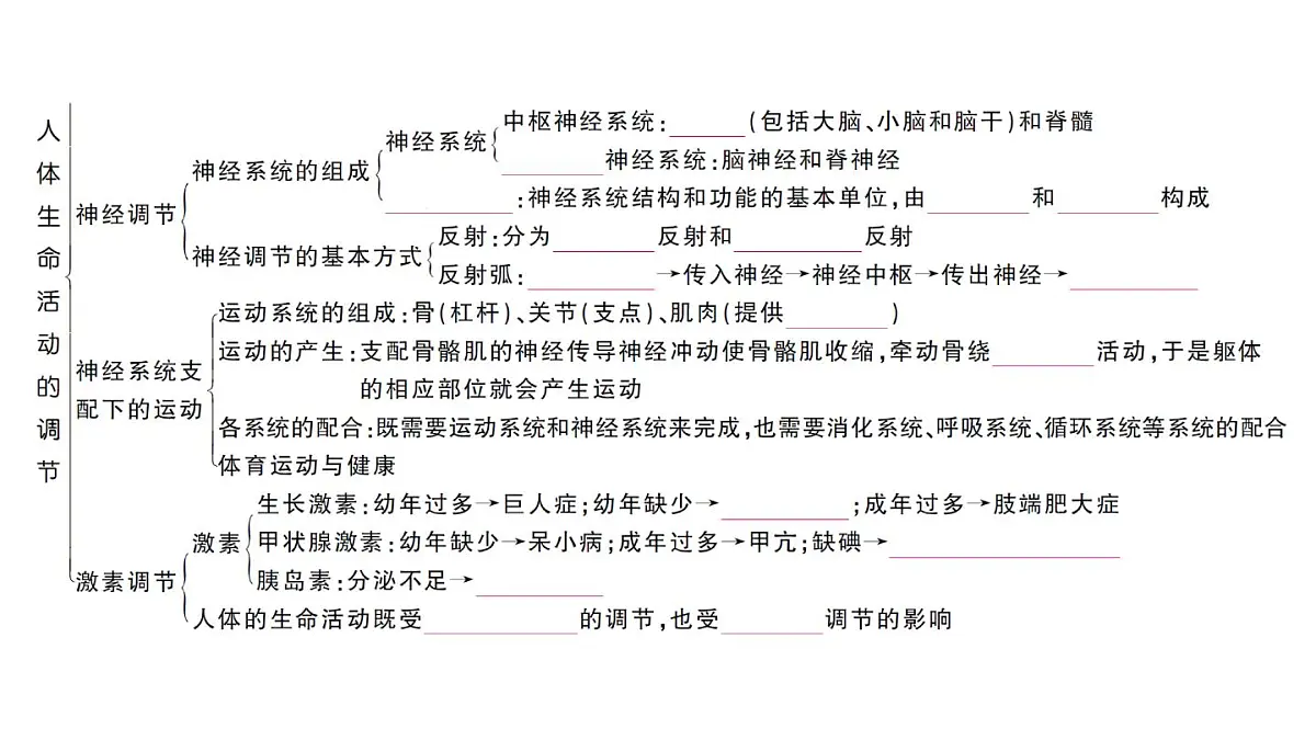 初中生物新人教版八年级上册第四单元第六章聚焦课标·章末冲刺作业课件（含答案）（2025秋）第3页