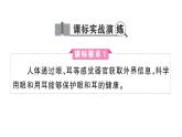 初中生物新人教版八年級上冊第四單元第六章聚焦課標·章末沖刺作業(yè)課件（含答案）（2025秋）