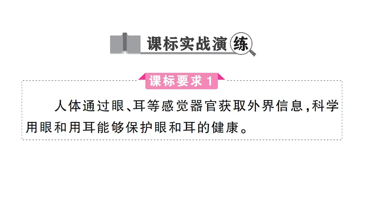 初中生物新人教版八年级上册第四单元第六章聚焦课标·章末冲刺作业课件（含答案）（2025秋）第4页