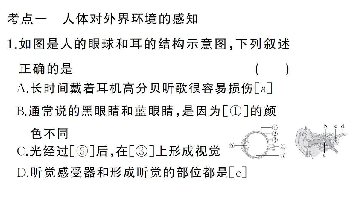 初中生物新人教版八年级上册第四单元第六章聚焦课标·章末冲刺作业课件（含答案）（2025秋）第5页