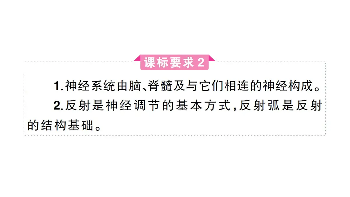 初中生物新人教版八年级上册第四单元第六章聚焦课标·章末冲刺作业课件（含答案）（2025秋）第6页