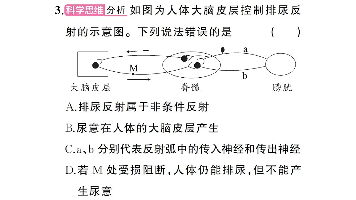 初中生物新人教版八年级上册第四单元第六章聚焦课标·章末冲刺作业课件（含答案）（2025秋）第8页