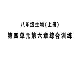 初中生物新人教版八年級上冊第四單元第六章綜合訓練作業(yè)課件（含答案）（2025秋）