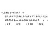 初中生物新人教版八年級上冊第四單元第六章綜合訓練作業(yè)課件（含答案）（2025秋）
