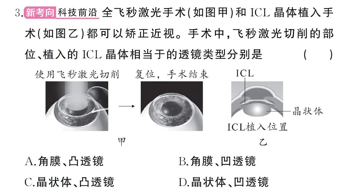 初中生物新人教版八年级上册第四单元第六章综合训练作业课件（含答案）（2025秋）第4页