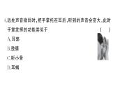 初中生物新人教版八年級上冊第四單元第六章綜合訓練作業(yè)課件（含答案）（2025秋）