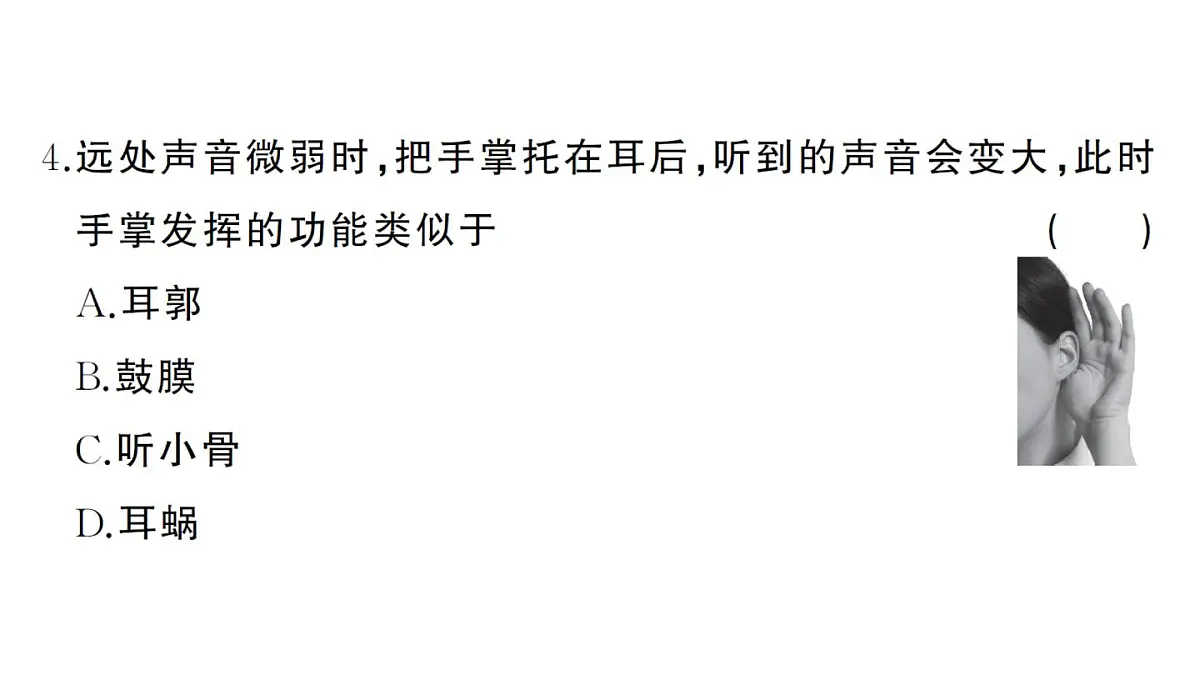 初中生物新人教版八年级上册第四单元第六章综合训练作业课件（含答案）（2025秋）第5页