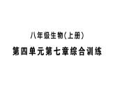 初中生物新人教版八年級上冊第四單元第七章綜合訓(xùn)練作業(yè)課件（含答案）（2025秋）