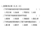 初中生物新人教版八年級上冊第四單元第七章綜合訓(xùn)練作業(yè)課件（含答案）（2025秋）