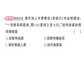 初中生物新人教版八年級上冊第四單元第七章綜合訓(xùn)練作業(yè)課件（含答案）（2025秋）