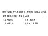 初中生物新人教版八年級上冊第四單元第七章綜合訓(xùn)練作業(yè)課件（含答案）（2025秋）