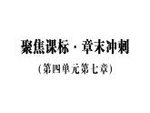 初中生物新人教版八年級上冊第四單元第七章聚焦課標(biāo)·章末沖刺作業(yè)課件（含答案）（2025秋）